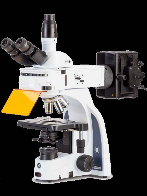 iScope IS.3153-PLi/3 — микроскоп тринокулярный флуоресцентный